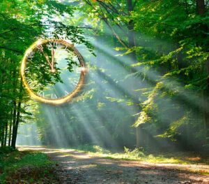 Past Life and Regression